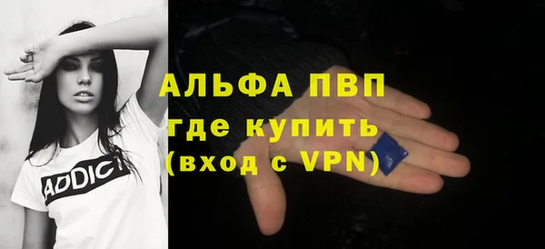 хмурый Белокуриха