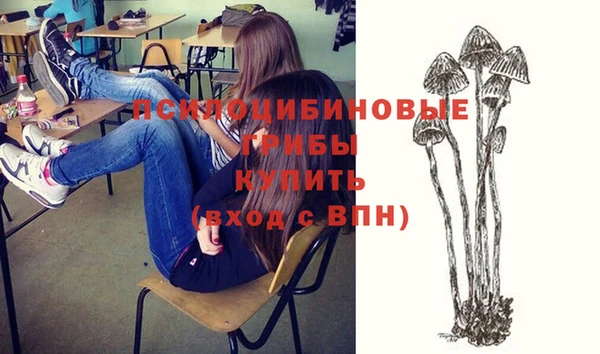 винт Баксан