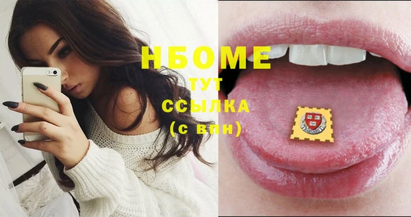хмурый Белокуриха