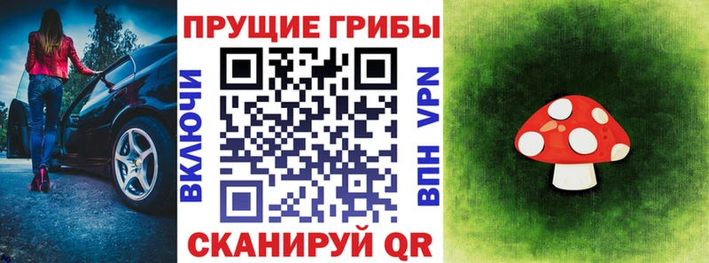 купить наркотики сайты  Верея  ОМГ ОМГ ONION  Галлюциногенные грибы мицелий 